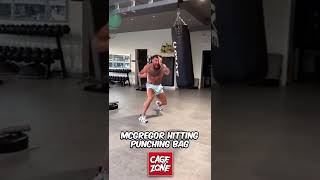 Conor McGregor Hitting Punching Bag #shorts #conormcgregor
