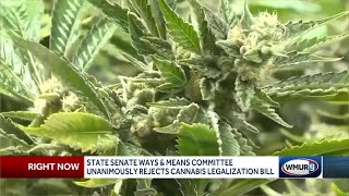 State Senate committee unanimously rejects cannabis legalization bill