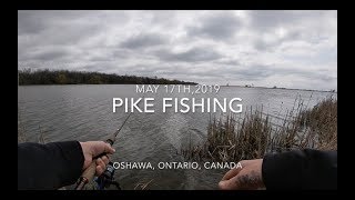 Pike Fishing Oshawa