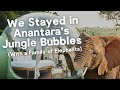 We Spent the Night with 2 Elephants in a 2-Bedroom Bubble Tent in the Jungle