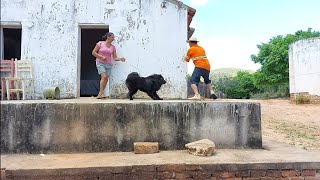 bastidores,,Seu Mané vai olhar para as mulheres