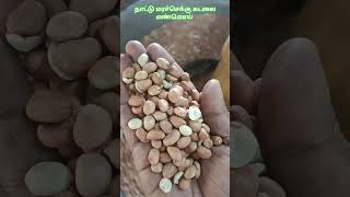 #இனிப்பு #சுவை #கொண்ட #மரச்செக்கு #நாட்டு #கடலை #எண்ணெய் #groundnut #oil