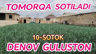 Tomorqa Sotiladi 10-Sotok Xama Sharoiti Bor Surxondaryo Viloyati Denov Gulustonda