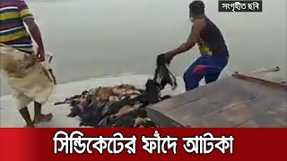 দাম না পেয়ে পদ্মায় চামড়া নিক্ষেপ, ট্যানারি মালিকদের অদ্ভূত শর্ত! | Jamuna TV