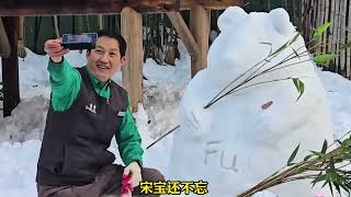 在没有福宝陪伴的第一个雪天，宋宝在雪地堆了个心上熊 #熊猫 #下雪就得这样玩 #福宝 #大熊猫