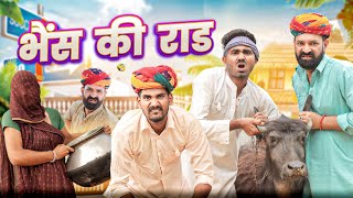 भैस की राड ।। Rajasthani comedy  ।। #marwadi_masti