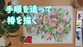 【透明水彩画】手順を追って椿を描く