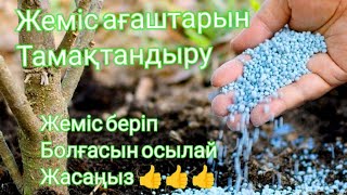 ЖЕМІС АҒАШТАРЫНА ТЫҢАЙТҚЫШТАР ВИТАМИНДЕР БЕРУ. ЖЕМІС БЕРІП БОЛҒАСЫН ОСЫЛАЙ ЖАСАҢЫЗ 👍👍👍