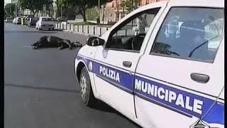 SCANDALOSO!!! - Cavallo morto abbandonato per strada a Palermo