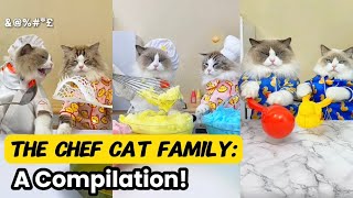 The Chef Cat Family | That Little Puff