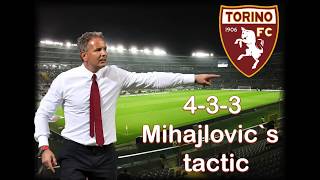 Sinisa Mihajlovic Tactic - Football Manager 2017 (tactical analysis)
