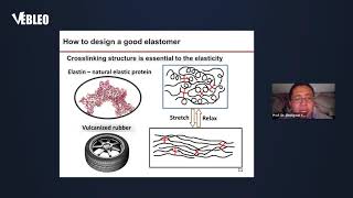Prof. Dr. Zhengwei You | Vebleo | Donghua University, China | #1748