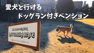 大型犬と行けるドッグラン付きペンション　inことぶきベース