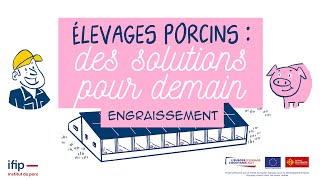 Quelles solutions pour le bâtiment d'engraissement des élevages de porcs de demain ?