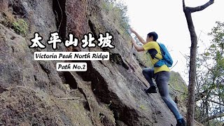 [HK Hiking] 太平山北坡2號線 | The Peak North Ridge - Path No.2