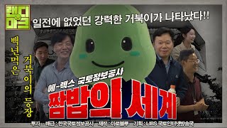 100년 짬밥 거북이 랜디 의 회사생활 브이로그 [랜디마크 Episode 1]