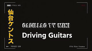 【仙台ケントス】Cadillac TV mini【Driving Guitars】【キャデラックTV】