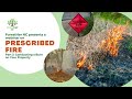 Prescribed Burning Part 2: Conducting a Burn on Your Property