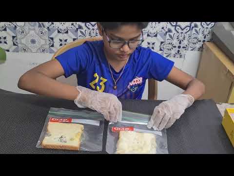 What type of bread grows mold the fastest?