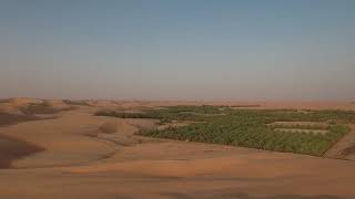 United Arab Emirates, Liwa Oasis