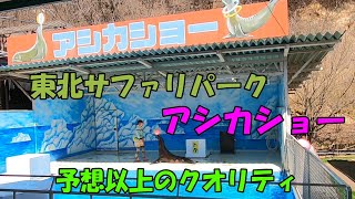 【東北サファリパーク】アシカショー！ワクワクドキドキが止まらない１５分！