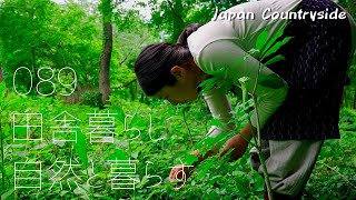 【Village Life Vlog】Plant green onions using the Japanese home garden method