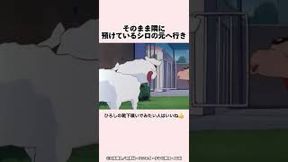 クレヨンしんちゃん昔のほっこりエピソード『シロを連れてきちゃったゾ』#shorts