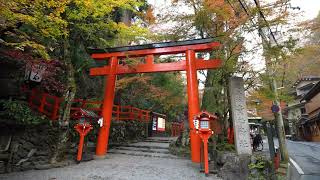 京都 貴船 紅葉(4K) カエデ・エリシア京都 caede|L’ELISIR KYOTO[Kifune, Kyoto Red Leaves]