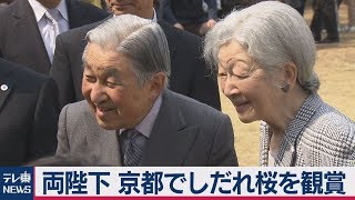 両陛下 京都でしだれ桜を観賞