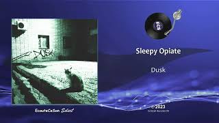 Sleepy Opiate - Dusk |[ Alternative Rock ]| 2023