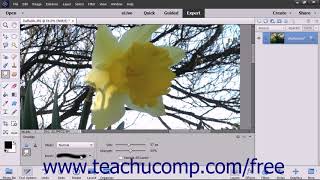 Photoshop Elements 2018 Tutorial The Smudge Tool Adobe Training