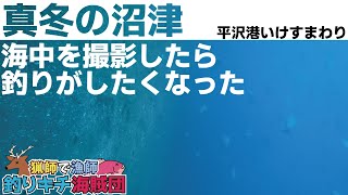 【釣り】真冬の沼津の海中は魚だらけだった｜猟師で漁師！釣りキチ海賊団