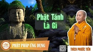 Phật Tánh Là Gì  - Thầy Thích Phước Tiến