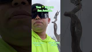 Servicio de Arboles 🌳San Antonio TX Tree Company. #treeremoval #treepruning #treemaintenance