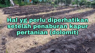 Hal yg perlu diperhatikan setelah pemberian kapur pertanian.