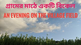 গ্রামের মাঠে একটি বিকেল | An Evening on the Village Field in Bangladesh