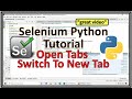 Selenium Python Switch To New Tab | Selenium Python Switch To Window | Selenium Python Switch Tab
