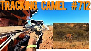 Tracking Down Camel #712 | Heart Shot \u0026 Helmet Cam POV