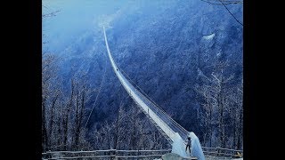 Ponte Tibetano Val di Rabbi