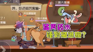 猫和老鼠手游：软萌泰菲化身大表哥？吓得猫隐身逃跑！