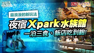 五星級「夜宿水族館」一泊三食吃到飽！Xpark × 和逸飯店新玩法搶訂