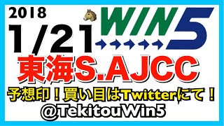 【前回惜しいWIN4‼︎】2018.1/21 WIN5 競馬予想 G2 東海ステークス アメリカジョッキークラブカップ AJCC