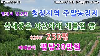 [물건번호600. 경북 영천시 임고면  야트막한 야산아래 공기좋은 청정지역 보전관리지역  토지를 소개해드립니다]