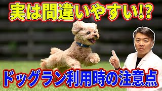 【犬の暮らし＃59】実は間違いやすい！？ドッグラン利用時の注意点！！