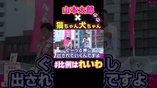 【比例はれいわ】猫ちゃん大好き山本太郎が動物愛護について訴える【東京選挙区は山本太郎】