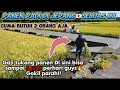 Ternyata seperti ini orang jepang🇯🇵kalau panen padi hasilnya memuaskan banget#japan #vlog