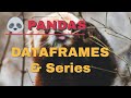 pandas dataframe tutorial | pandas in python for beginners