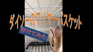 【うさぎブログ】ダイソーのワイヤーバスケットを天井につけてみた