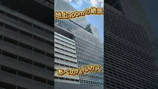 【街ブラ】地上300mの絶景 あべのハルカスを散歩 #あべのハルカス #阿倍野区 #散歩