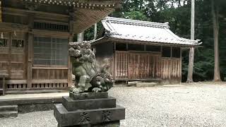 ＃雷公神社　＃これたか親王　＃在原業平　垂井町大滝　桜御所　桜神社となり後に雷公神社として再建された　木地師の信仰厚い